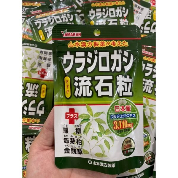Japanese oriental medicine kidney stone treatment support pills Urajirogashi 240 pills - Image 2